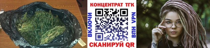 купить наркотики цена  Петров Вал  mega рабочий сайт  Дистиллят ТГК THC oil 